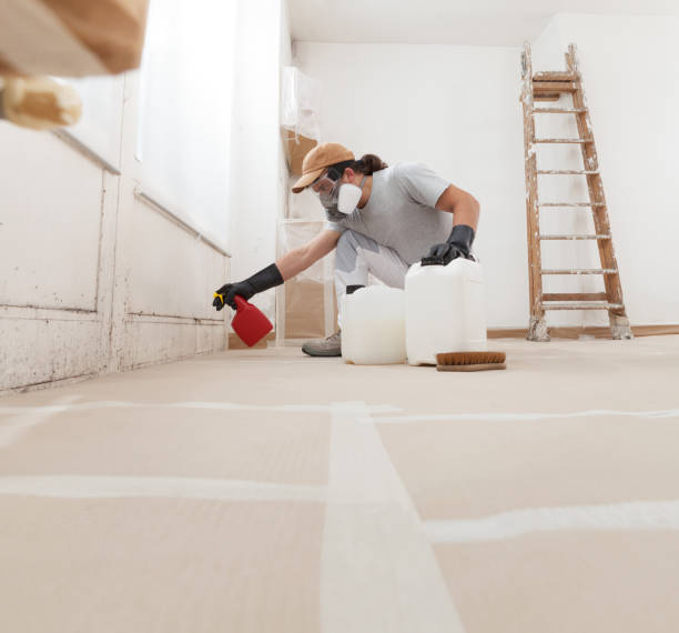 Best Mold Remediation for Healthcare Facilities  in West New York, NJ